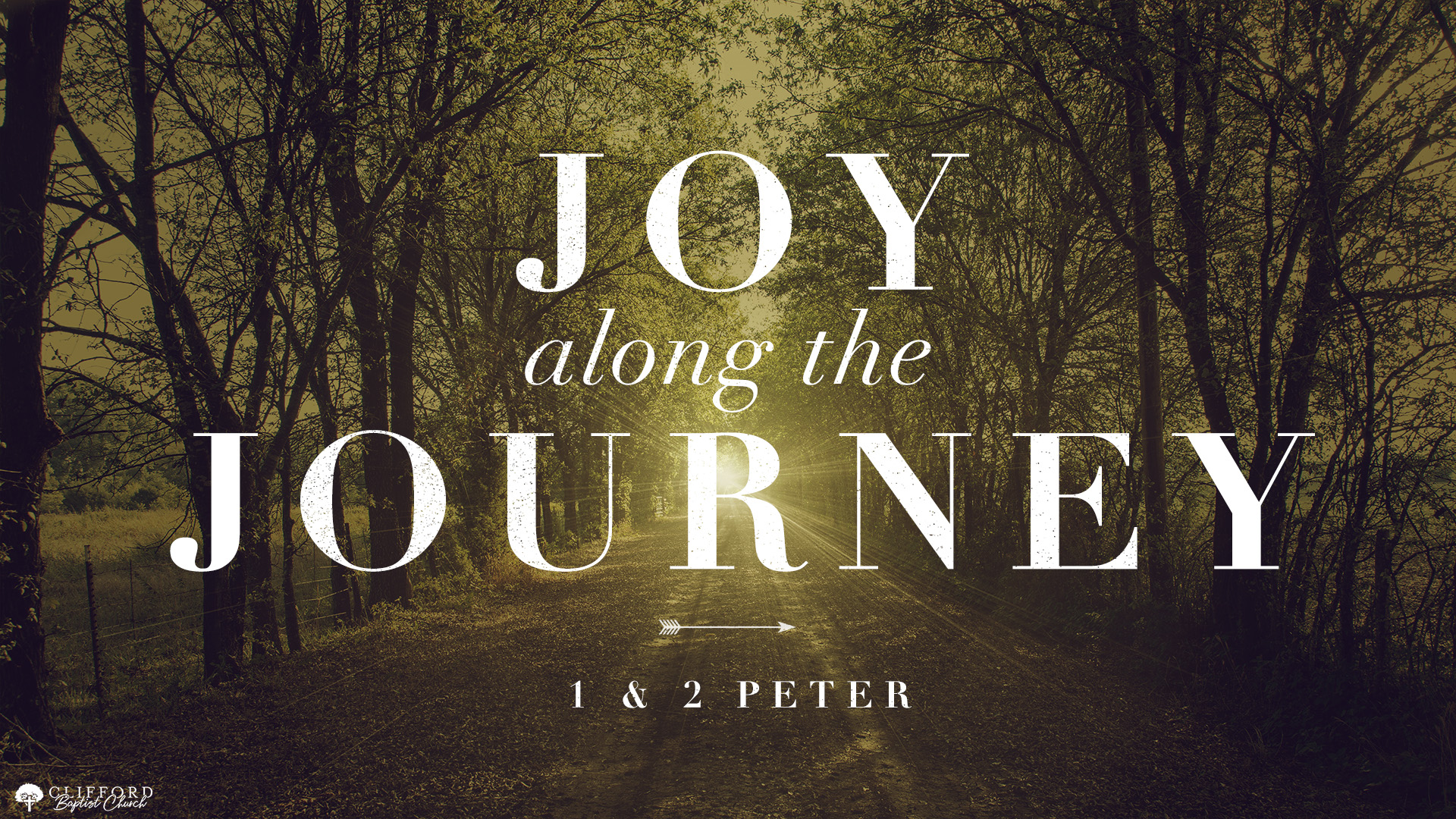 Joy along the Journey