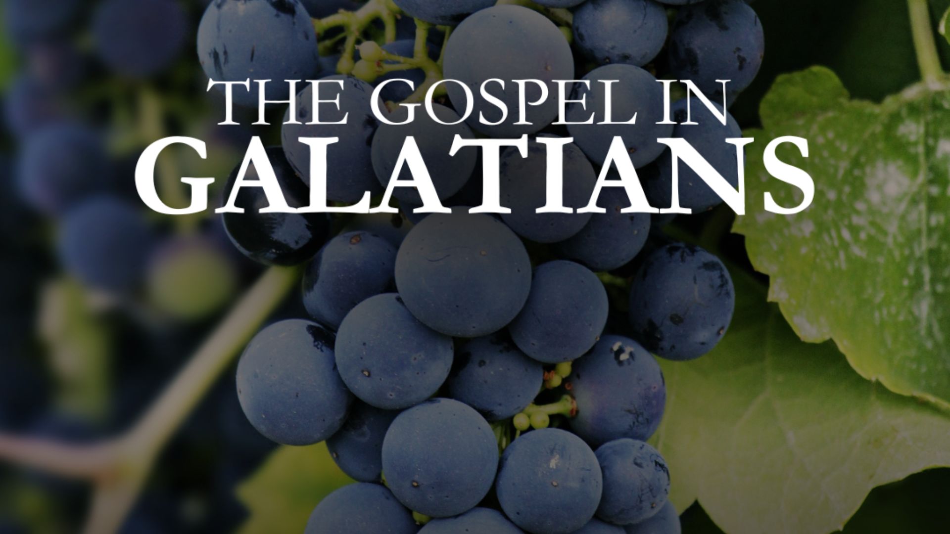 Gospel in Galatians