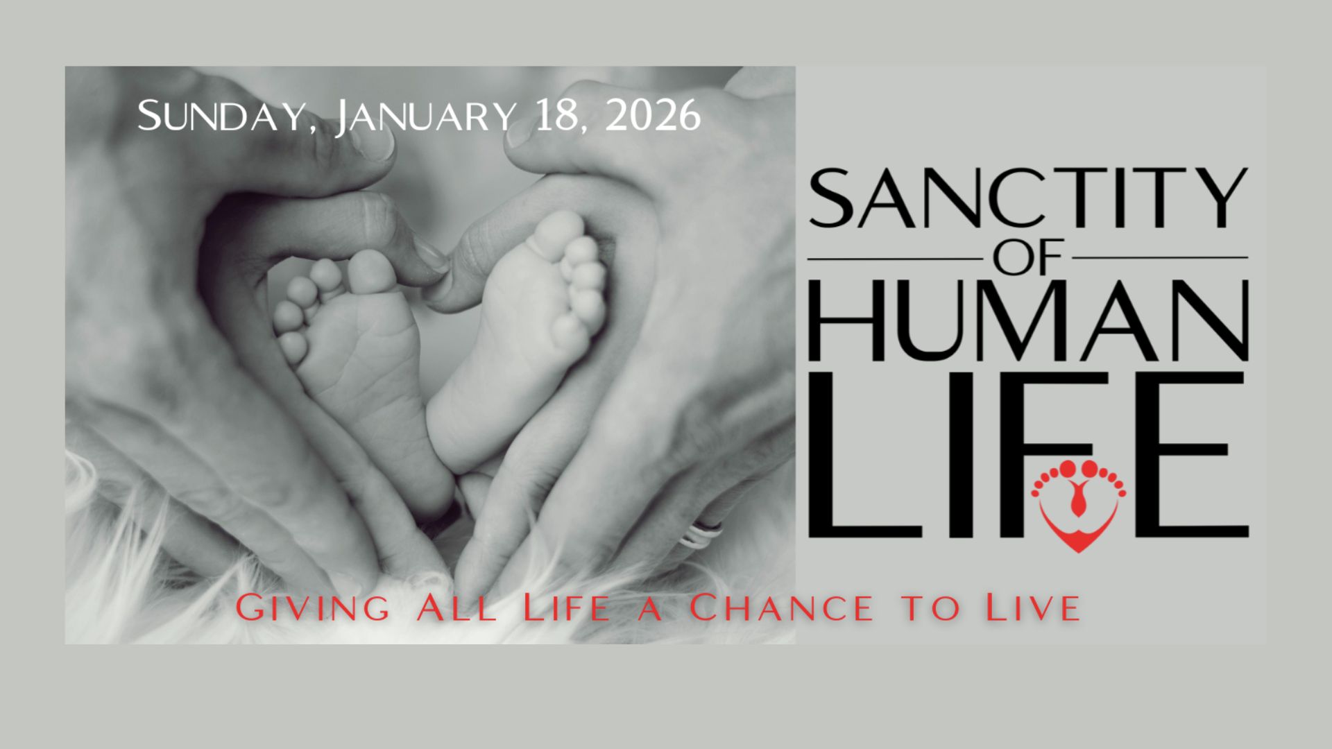 sanctity of life