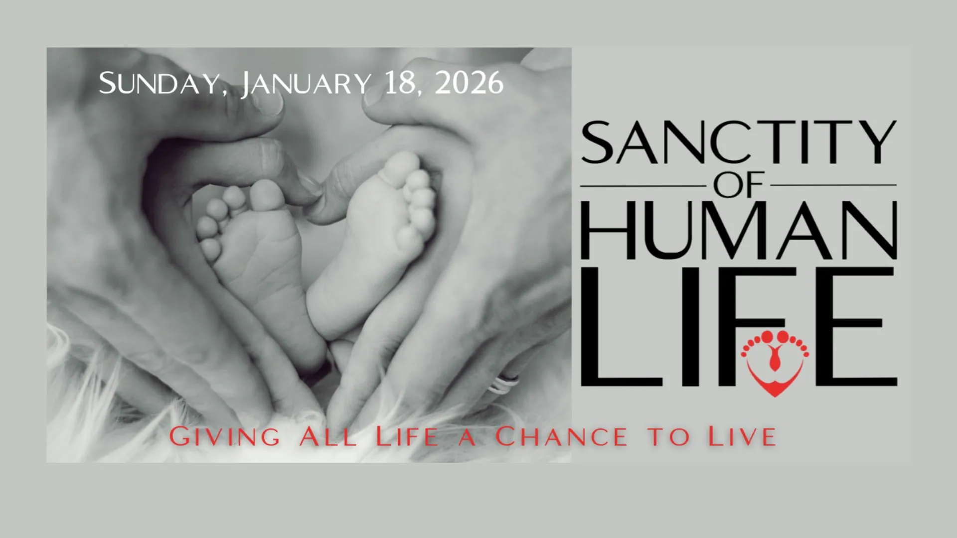 sanctity of life